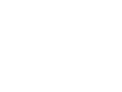 VINS TAVEL FORMATION