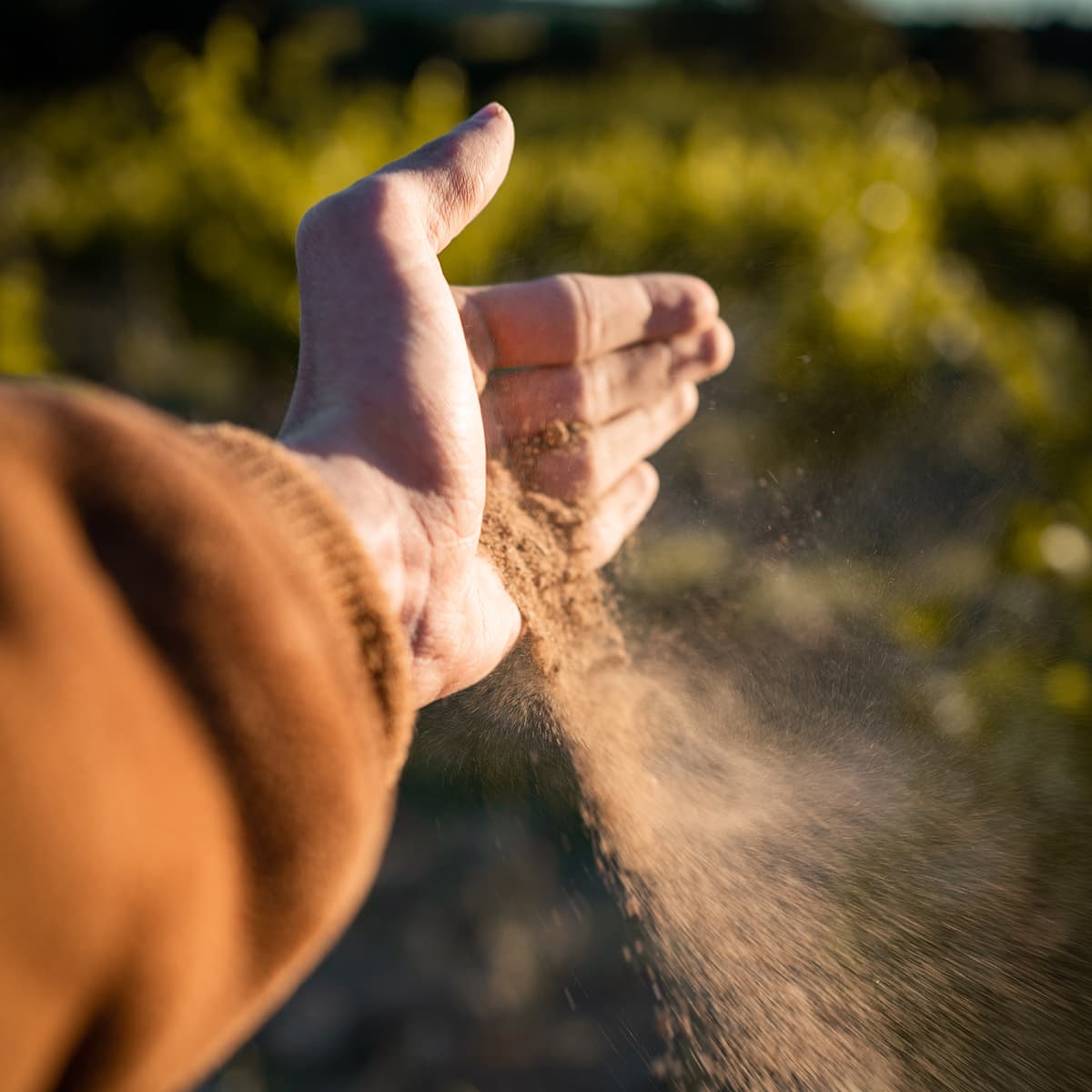 Terroir paysage vins Tavel